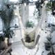 10 Game-Changing Tips for Living with Plants and Cats
