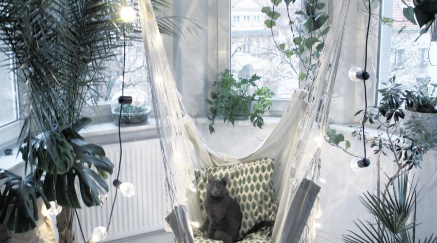 10 Game-Changing Tips for Living with Plants and Cats