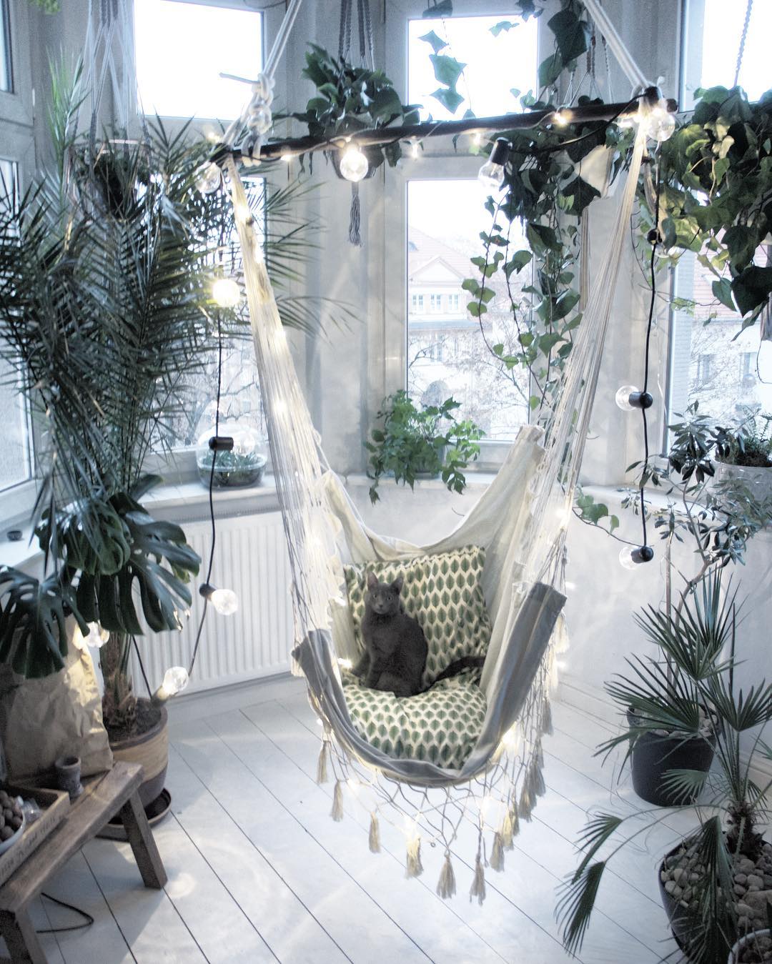 10 Game-Changing Tips for Living with Plants and Cats