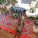 Instagram Obsessions: SUPER INEXPENSIVE Bright, Recycled, Indoor/Outdoor Rug!