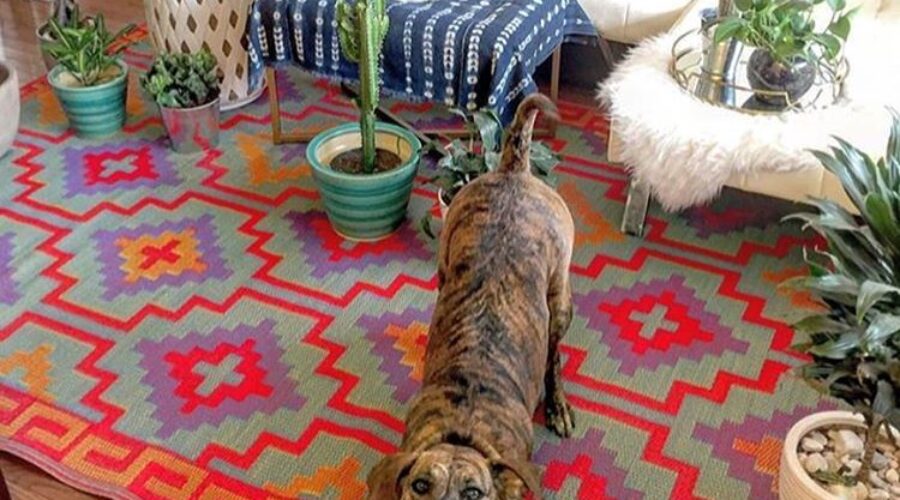 Instagram Obsessions: SUPER INEXPENSIVE Bright, Recycled, Indoor/Outdoor Rug!