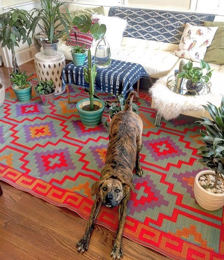 Instagram Obsessions: SUPER INEXPENSIVE Bright, Recycled, Indoor/Outdoor Rug!