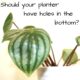 When You Need Holes in the Bottom of Flower Pots and Planters