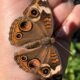 We’re Spreading Our Wings! Introducing: franc & eli lifestyle