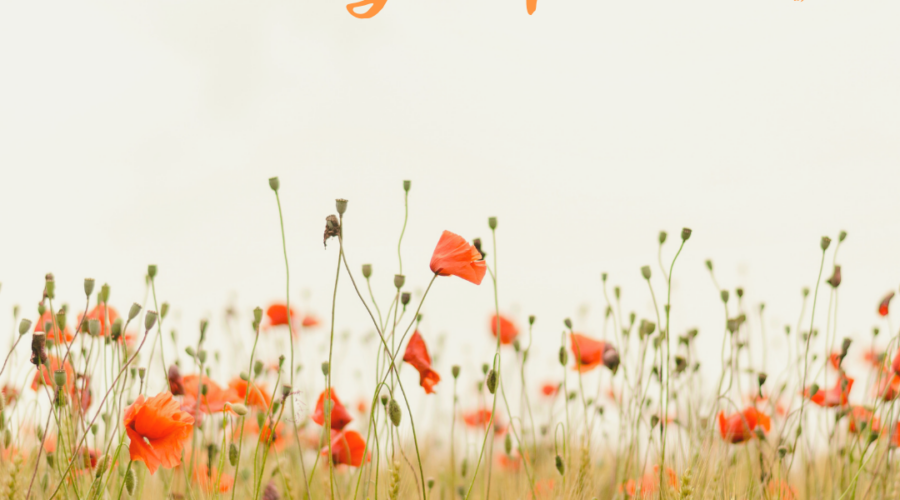 Weekly Faves – April 21, 2019